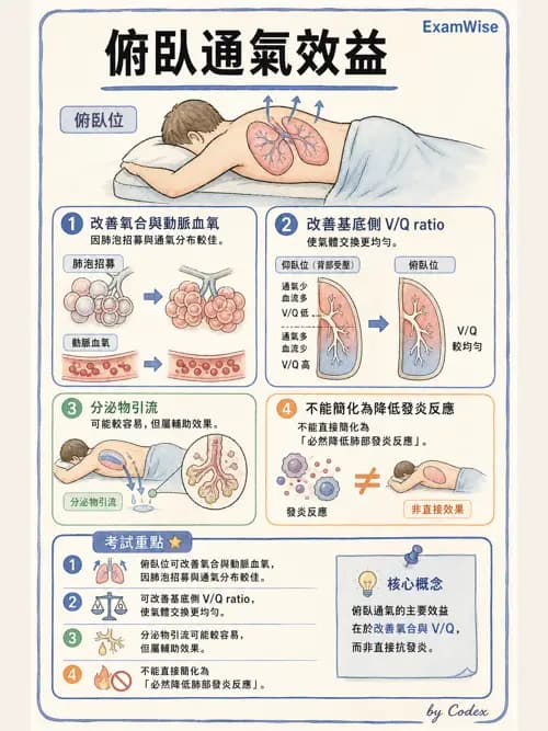 呼吸治療師 - ARDS與呼吸衰竭 - AI 圖文解析預覽