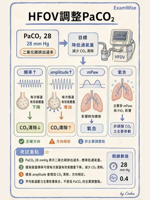 呼吸治療師 - 重症特殊處置 - AI 圖文解析預覽