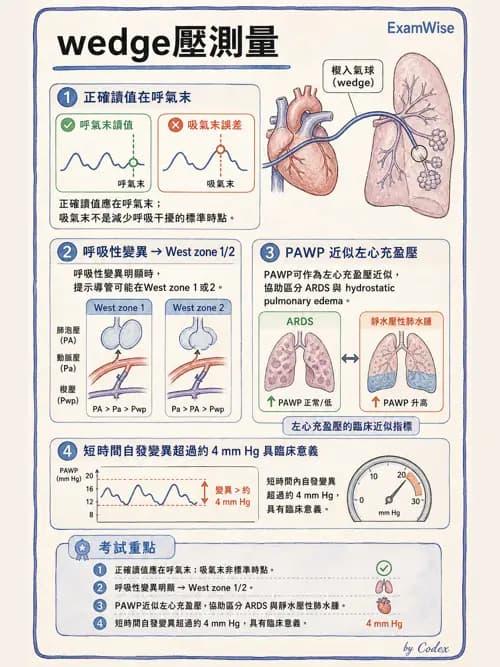 呼吸治療師 - 重症監測與判讀 - AI 圖文解析預覽