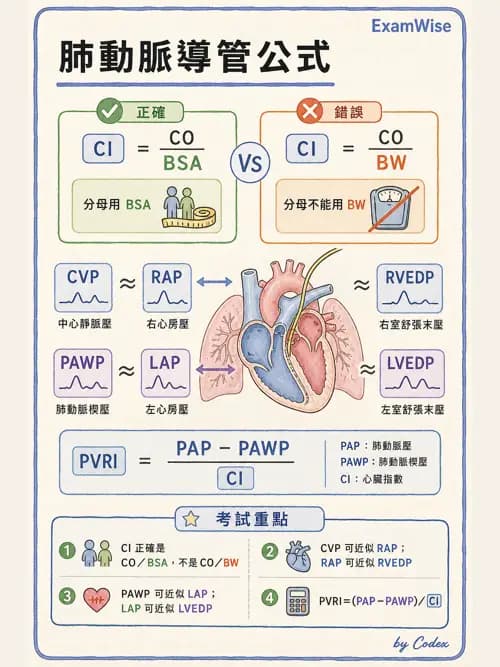 呼吸治療師 - 重症監測與判讀 - AI 圖文解析預覽