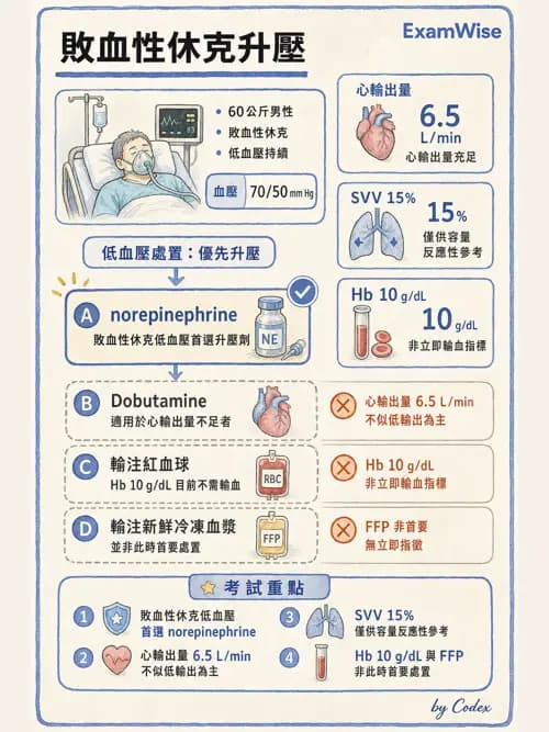 呼吸治療師 - 重症監測與判讀 - AI 圖文解析預覽
