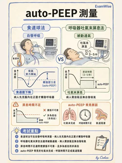 呼吸治療師 - 重症監測與判讀 - AI 圖文解析預覽