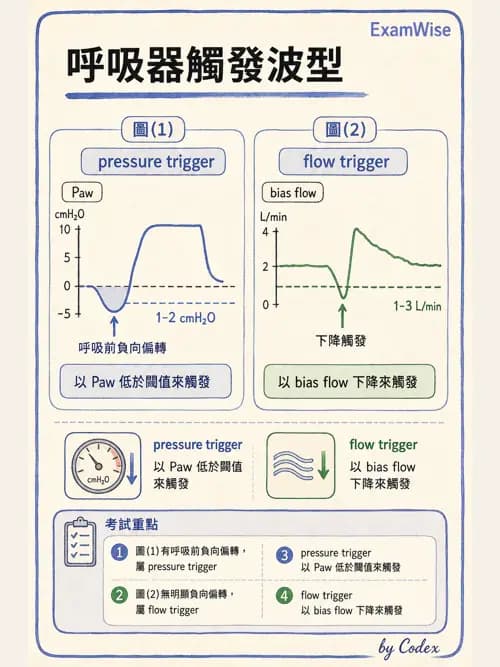 呼吸治療師 - 重症監測與判讀 - AI 圖文解析預覽