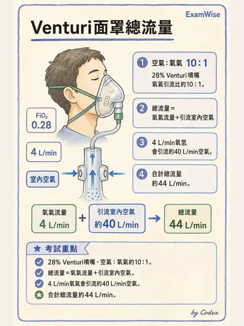 呼吸治療師 - 重症監測與判讀 - AI 圖文解析預覽
