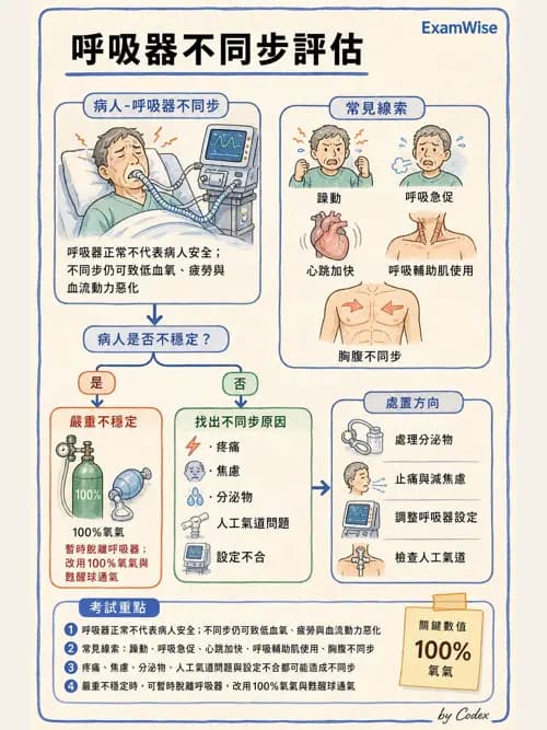 呼吸治療師 - 呼吸器併發症與感染 - AI 圖文解析預覽