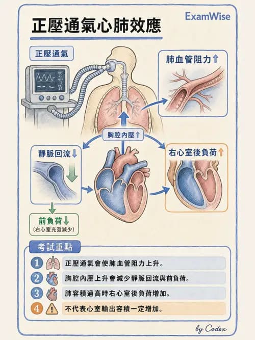呼吸治療師 - 呼吸器併發症與感染 - AI 圖文解析預覽