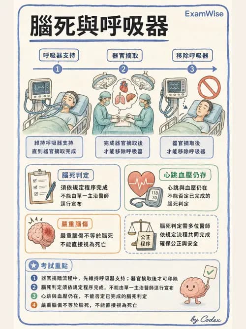 呼吸治療師 - 術後與其他呼吸重症 - AI 圖文解析預覽