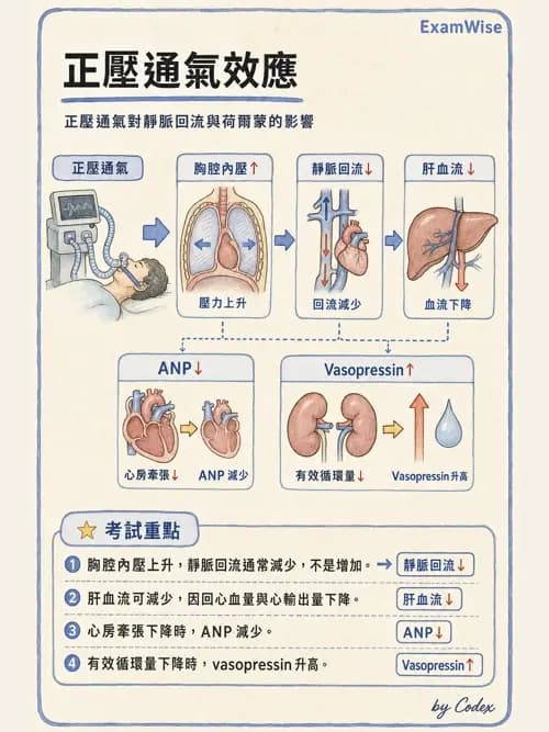 呼吸治療師 - 呼吸器併發症與感染 - AI 圖文解析預覽