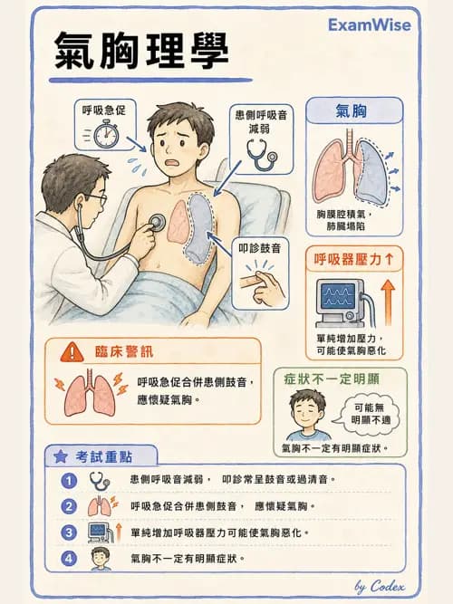 呼吸治療師 - 術後與其他呼吸重症 - AI 圖文解析預覽