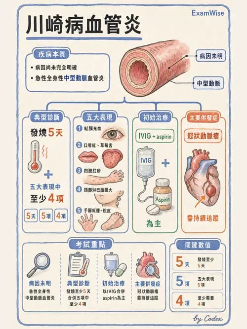 呼吸治療師 - 小兒相關重症 - AI 圖文解析預覽