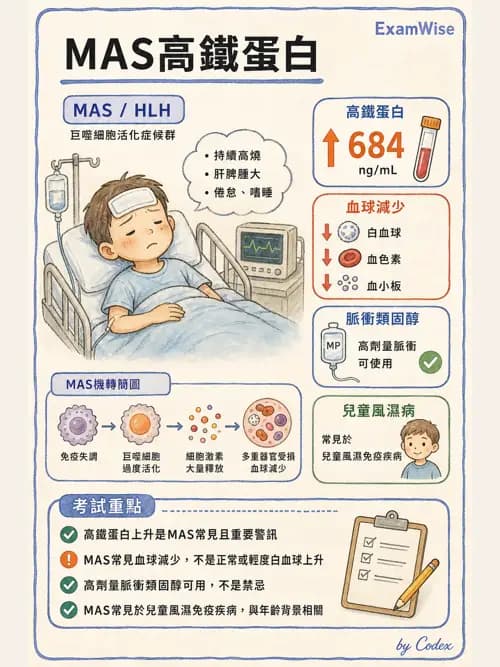呼吸治療師 - 小兒相關重症 - AI 圖文解析預覽