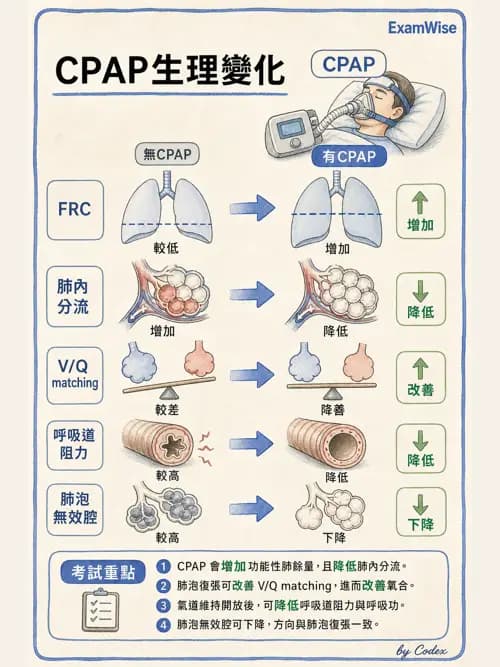 呼吸治療師 - 小兒相關重症 - AI 圖文解析預覽