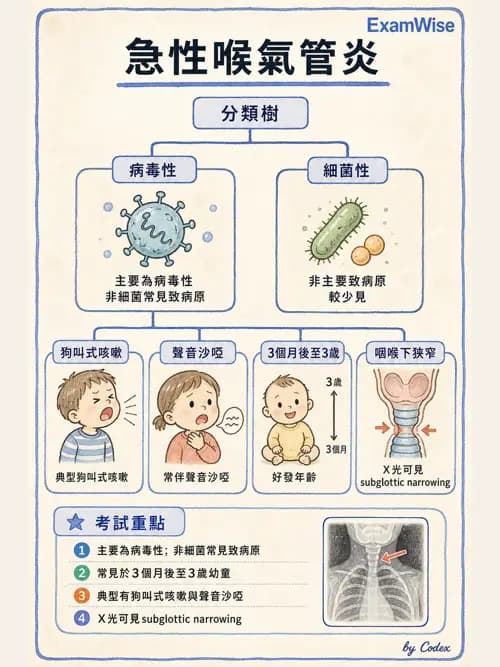 呼吸治療師 - 小兒相關重症 - AI 圖文解析預覽
