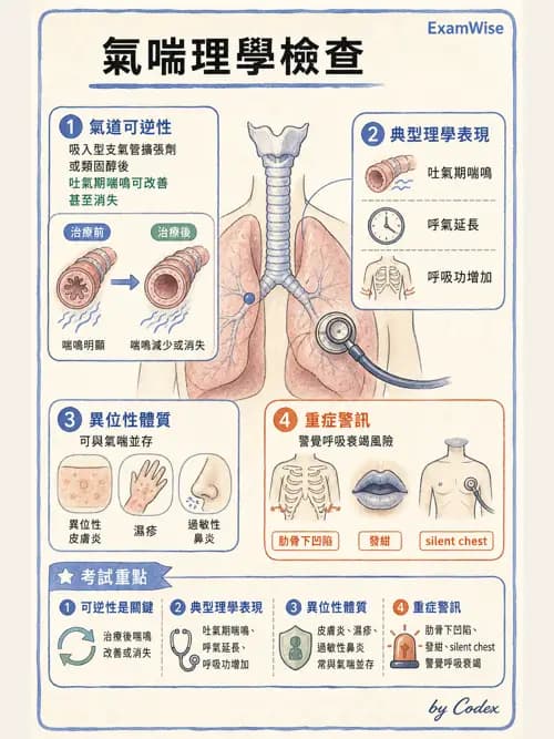 呼吸治療師 - 小兒相關重症 - AI 圖文解析預覽