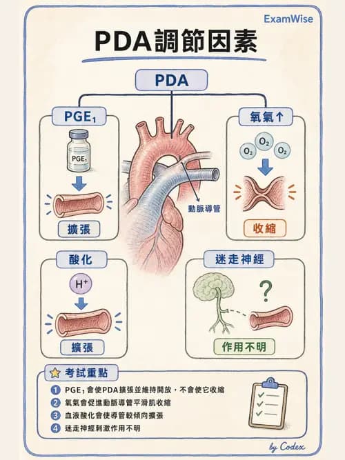 呼吸治療師 - 小兒相關重症 - AI 圖文解析預覽