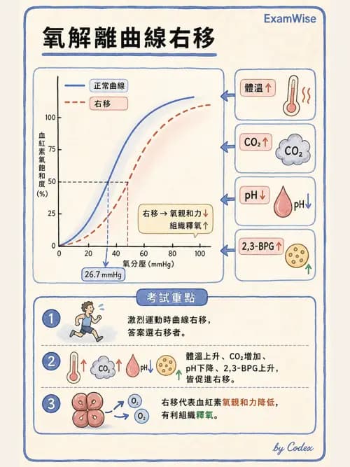呼吸治療師 - 重症監測與判讀 - AI 圖文解析預覽