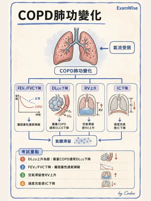 呼吸治療師 - 慢性氣道疾病 - AI 圖文解析預覽
