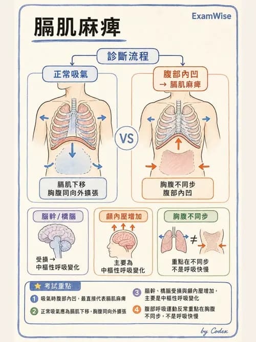 呼吸治療師 - 病人評估與衛教 - AI 圖文解析預覽
