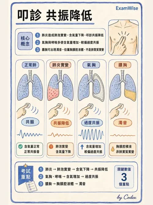 呼吸治療師 - 病人評估與衛教 - AI 圖文解析預覽