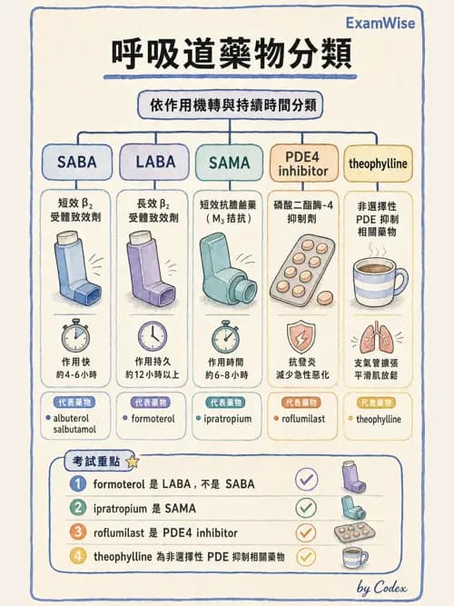 呼吸治療師 - 慢性氣道疾病 - AI 圖文解析預覽