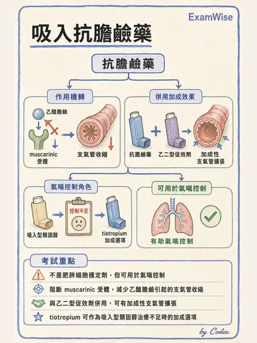 呼吸治療師 - 慢性氣道疾病 - AI 圖文解析預覽
