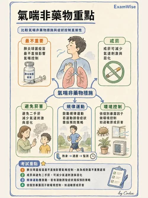 呼吸治療師 - 慢性氣道疾病 - AI 圖文解析預覽