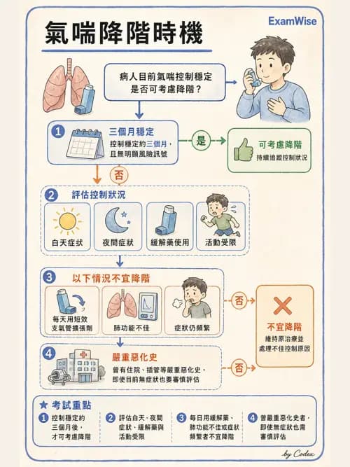 呼吸治療師 - 慢性氣道疾病 - AI 圖文解析預覽
