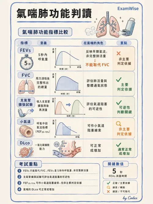 呼吸治療師 - 慢性氣道疾病 - AI 圖文解析預覽