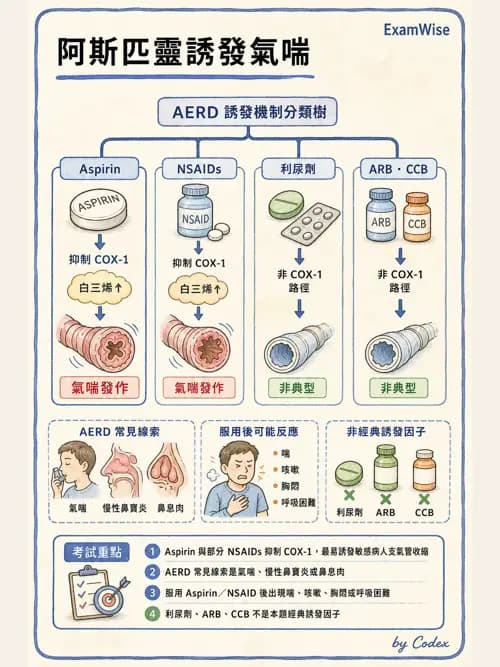 呼吸治療師 - 慢性氣道疾病 - AI 圖文解析預覽