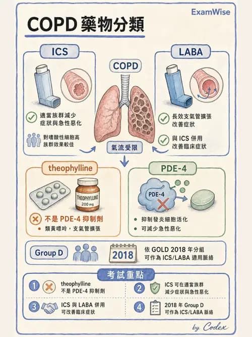 呼吸治療師 - 慢性氣道疾病 - AI 圖文解析預覽