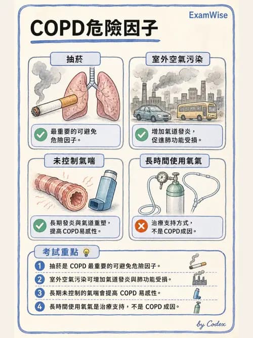 呼吸治療師 - 慢性氣道疾病 - AI 圖文解析預覽