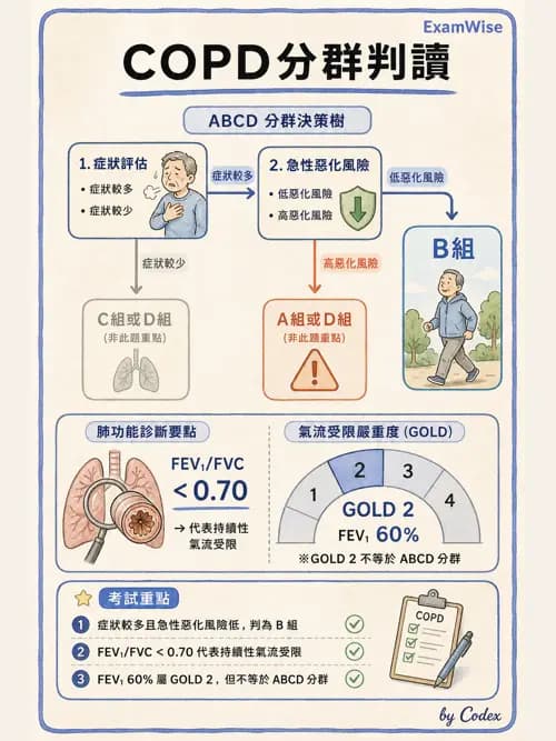 呼吸治療師 - 慢性氣道疾病 - AI 圖文解析預覽