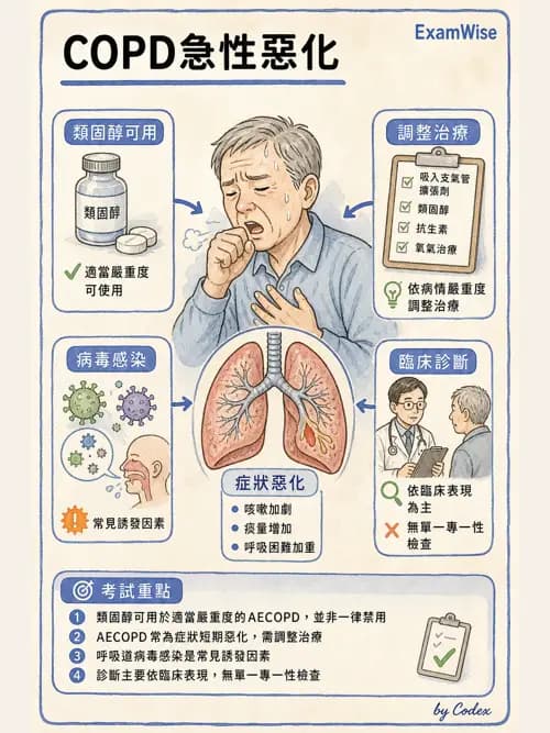呼吸治療師 - 慢性氣道疾病 - AI 圖文解析預覽