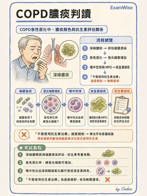 呼吸治療師 - 慢性氣道疾病 - AI 圖文解析預覽