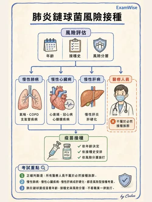 呼吸治療師 - 感染性肺疾 - AI 圖文解析預覽
