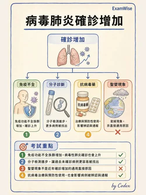 呼吸治療師 - 感染性肺疾 - AI 圖文解析預覽