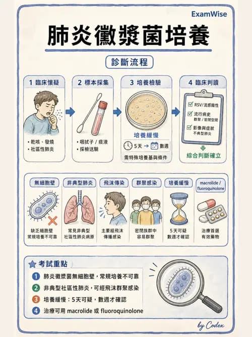 呼吸治療師 - 感染性肺疾 - AI 圖文解析預覽