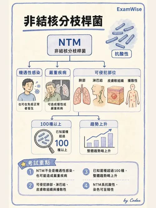 呼吸治療師 - 感染性肺疾 - AI 圖文解析預覽