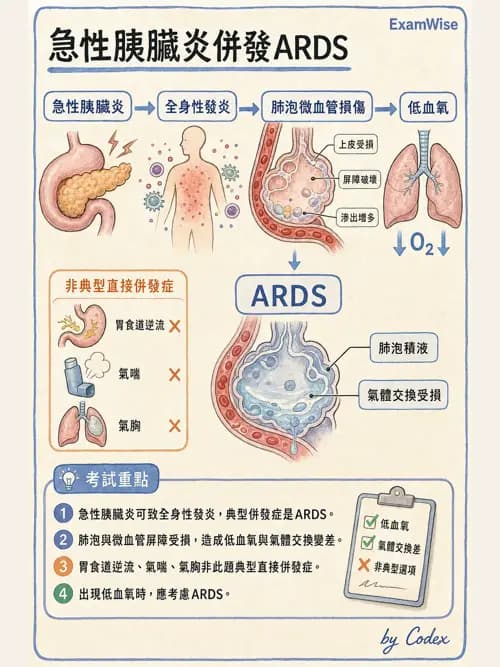 呼吸治療師 - 感染性肺疾 - AI 圖文解析預覽