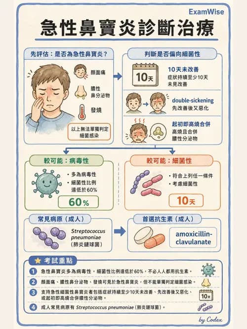 呼吸治療師 - 感染性肺疾 - AI 圖文解析預覽