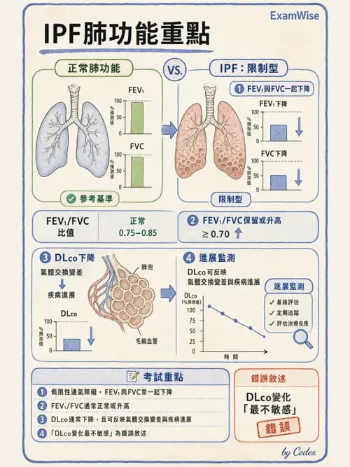 呼吸治療師 - 肺間質病變 - AI 圖文解析預覽
