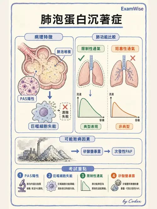 呼吸治療師 - 肺間質病變 - AI 圖文解析預覽