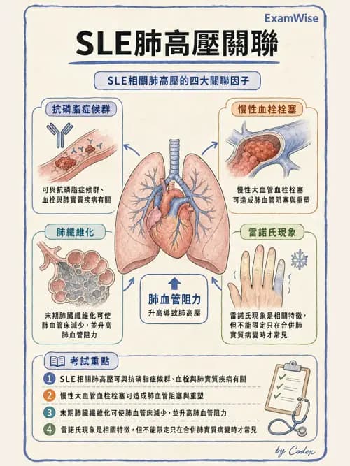 呼吸治療師 - 肺間質病變 - AI 圖文解析預覽