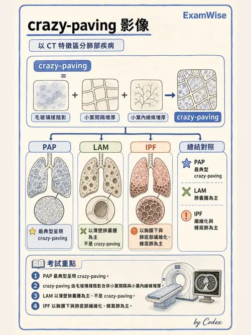 呼吸治療師 - 肺間質病變 - AI 圖文解析預覽