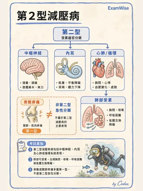 呼吸治療師 - 外力傷害與胸廓病變 - AI 圖文解析預覽