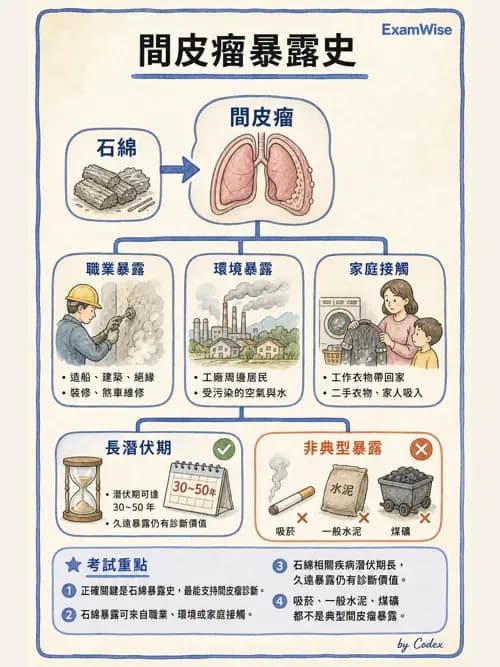 呼吸治療師 - 神經肌肉病變與腫瘤 - AI 圖文解析預覽