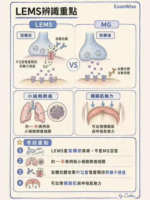 呼吸治療師 - 神經肌肉病變與腫瘤 - AI 圖文解析預覽