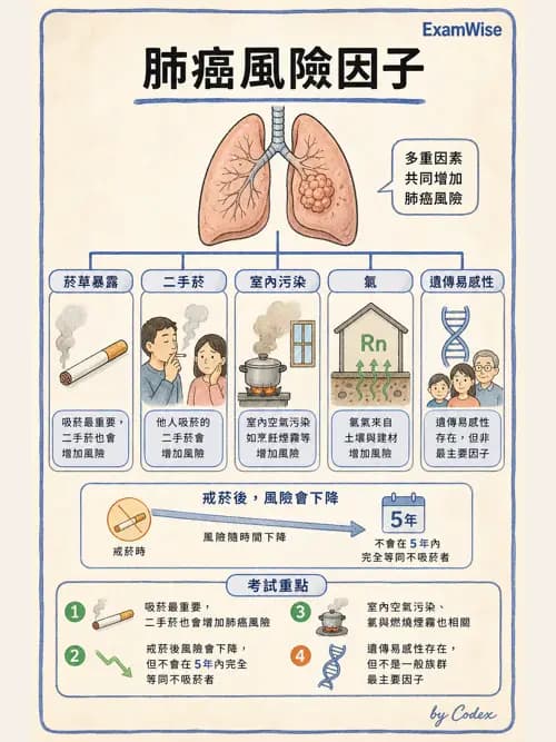 呼吸治療師 - 神經肌肉病變與腫瘤 - AI 圖文解析預覽