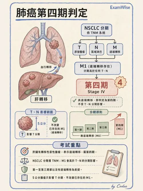 呼吸治療師 - 神經肌肉病變與腫瘤 - AI 圖文解析預覽