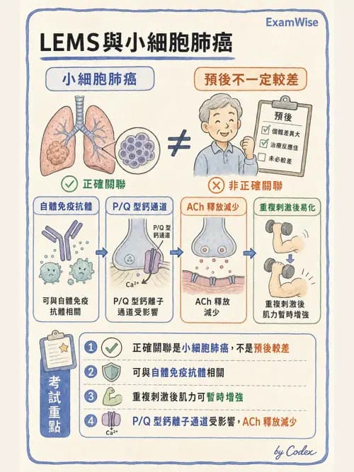 呼吸治療師 - 神經肌肉病變與腫瘤 - AI 圖文解析預覽